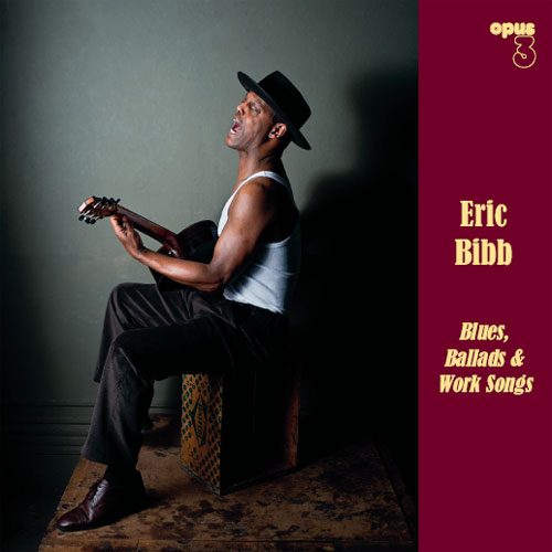 Eric Bibb Blues etc